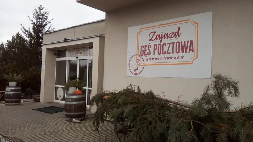 Gęś Pocztowa (Ludwinka) - Ludwina